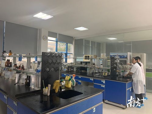 增產20倍，院士專家工作站引領生物飼料研發革命——聚焦佛山創新驅動助力工程