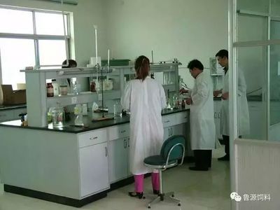 《蛋雞福星》預混料 網絡直銷助力高效養殖，生物科技引領健康新篇
